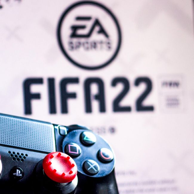 草莓视频你懂的