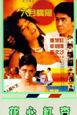 一级黄色电视剧