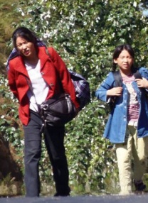 亚洲大片免费